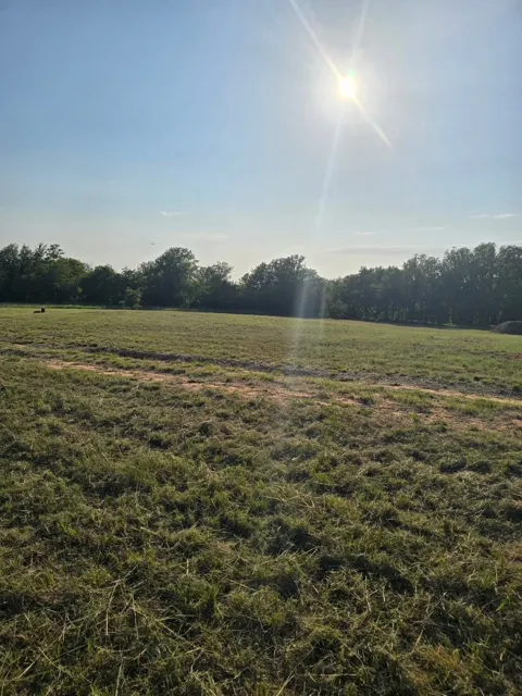 384 Red Oak Hills Road