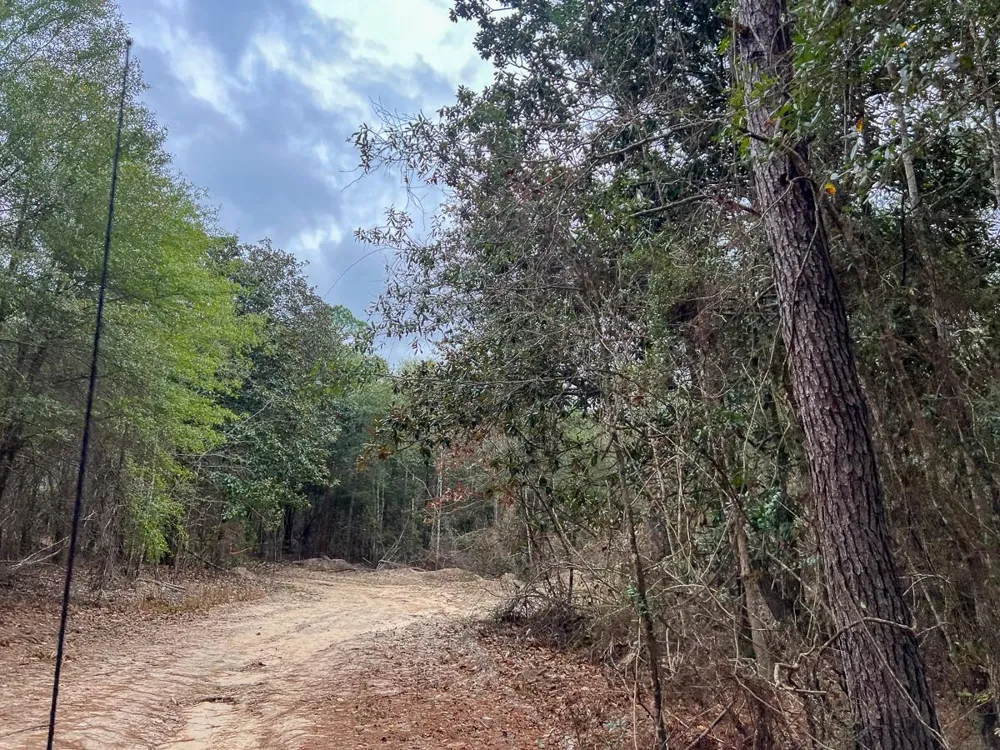 1 Highway 190 Newton, TX 75966