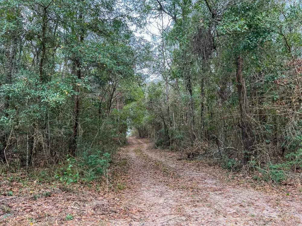 1 Highway 190 Newton, TX 75966