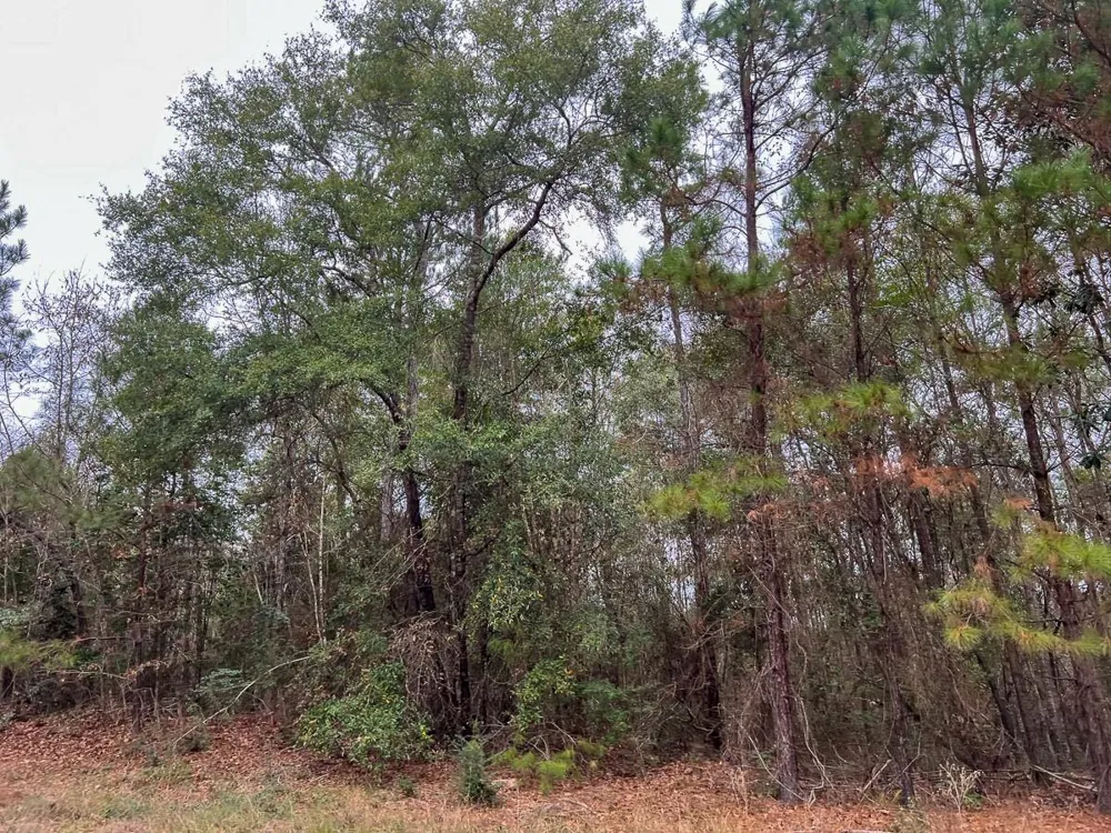 1 Highway 190 Newton, TX 75966
