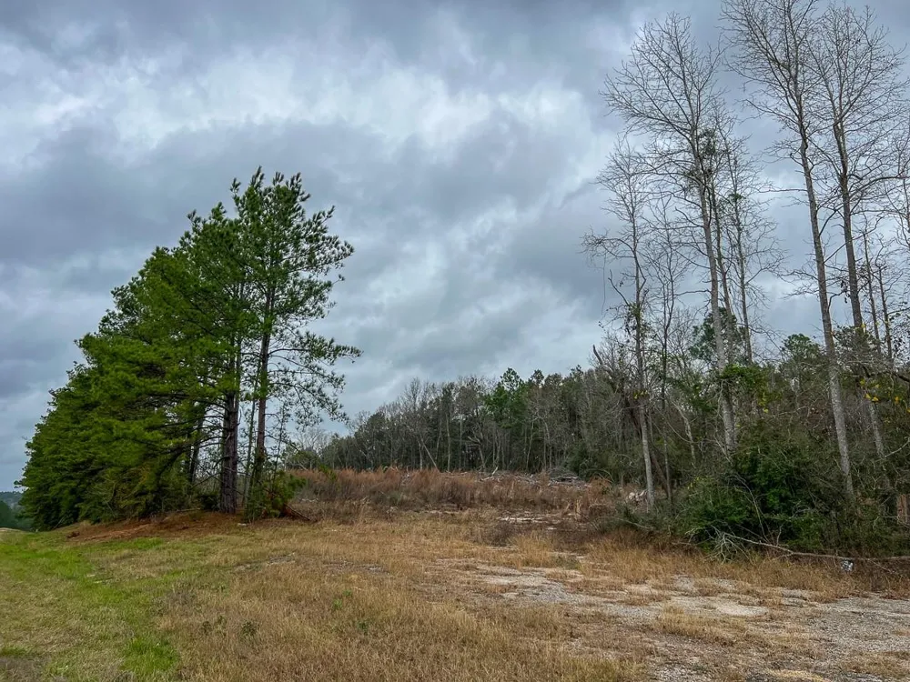 1 Highway 190 Newton, TX 75966
