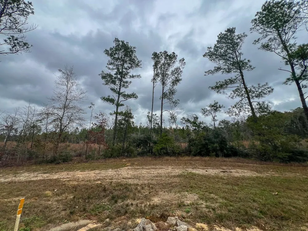 1 Highway 190 Newton, TX 75966