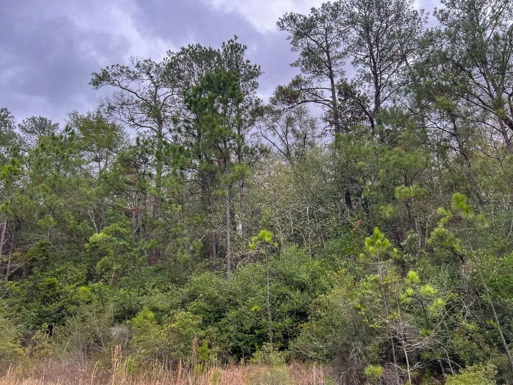 1 Highway 190 Newton, TX 75966