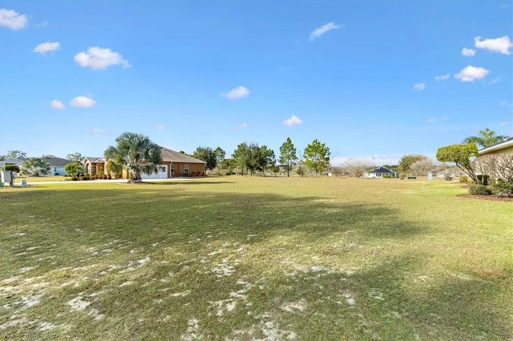 529 DOWLING CIRCLE Lady Lake, FL 32159