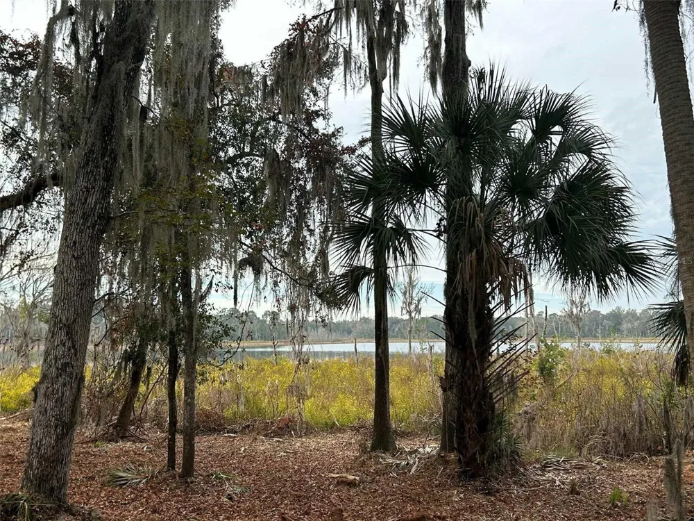 FAYE STREET Hawthorne, FL 32640