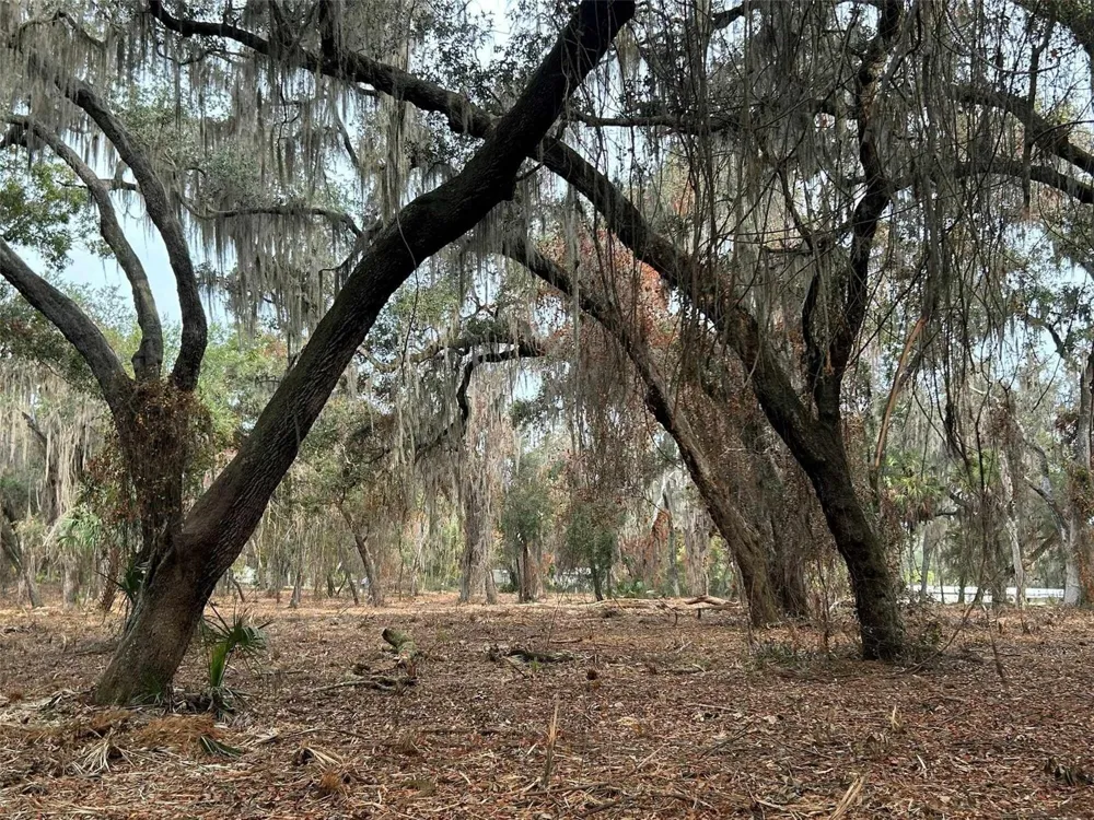 FAYE STREET Hawthorne, FL 32640