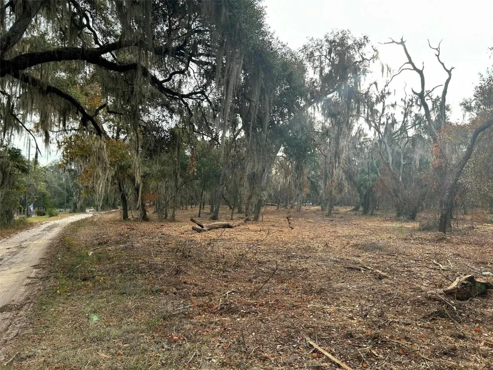FAYE STREET Hawthorne, FL 32640