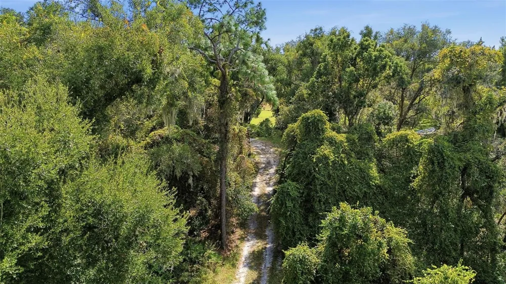 5505 CR 634S Bushnell, FL 33513