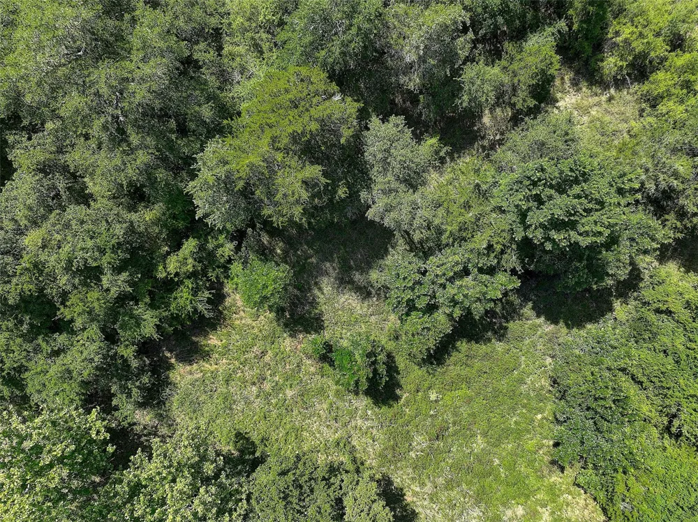 4739 Creamer Creek Rd La Grange, TX 78945