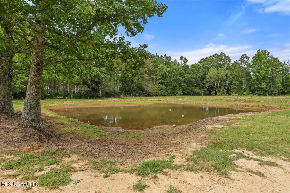 120 Anse Reed Road Magee, MS 39111