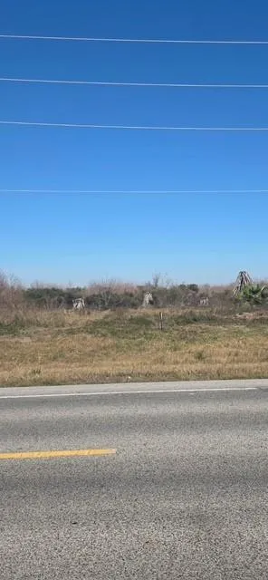 Hwy 87