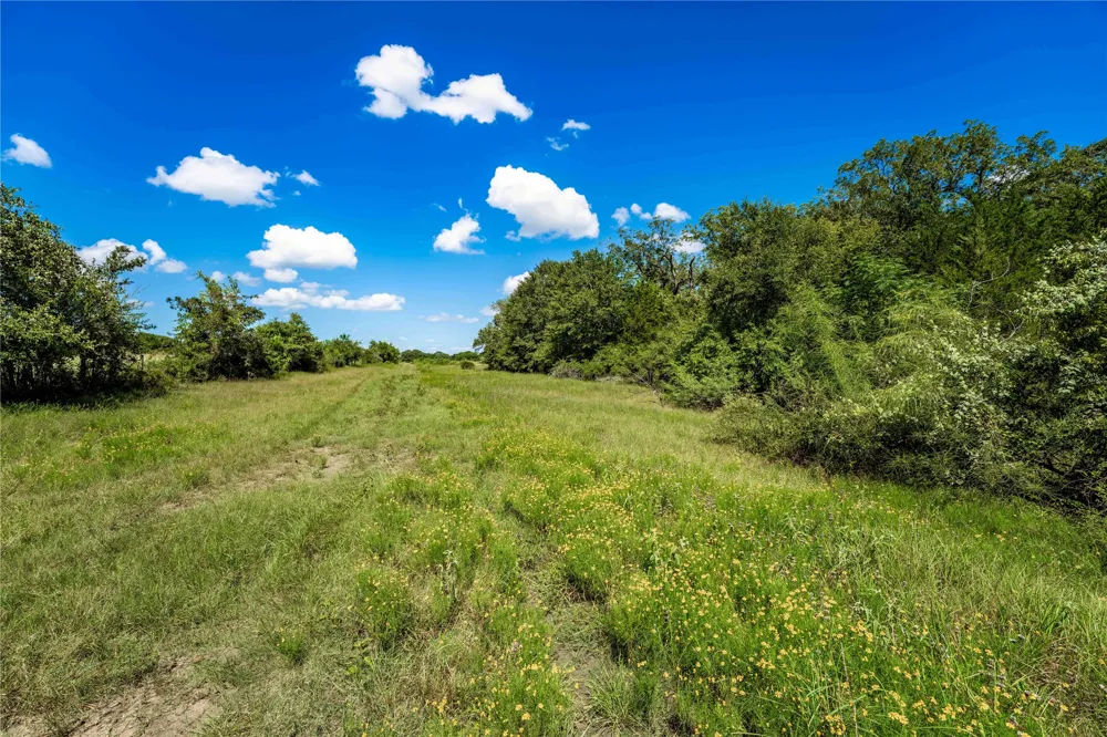 CR 253 Weimar, TX 78962