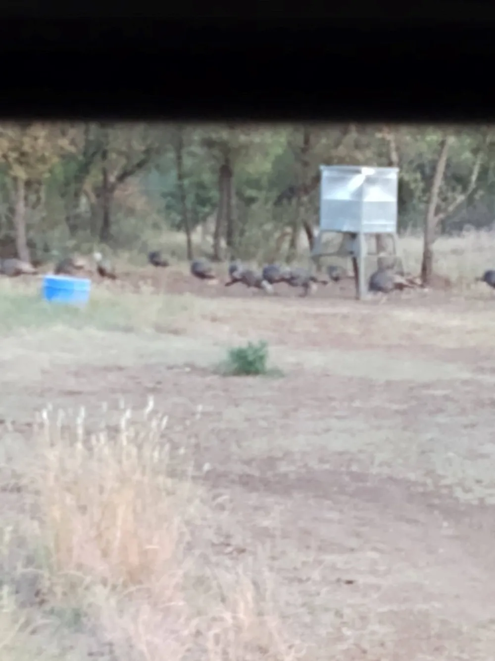 County Road 152 Brady, TX 76825