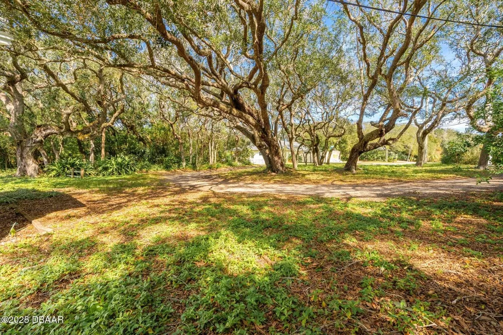 4770 S PENINSULA DRIVE Ponce Inlet, FL 32127
