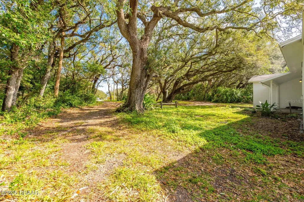 4770 S PENINSULA DRIVE Ponce Inlet, FL 32127