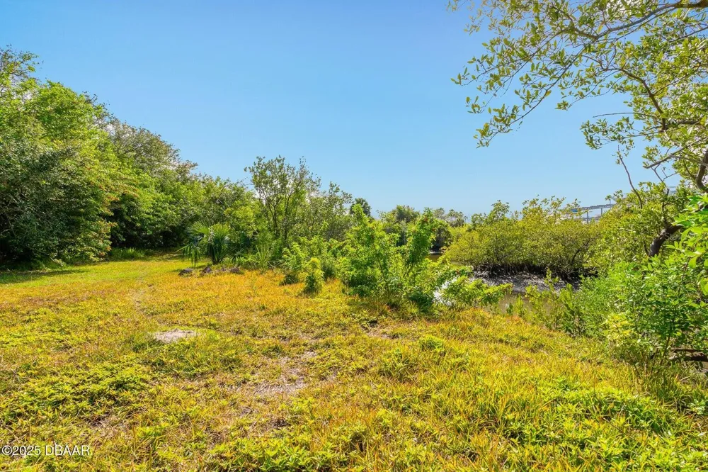 4770 S PENINSULA DRIVE Ponce Inlet, FL 32127