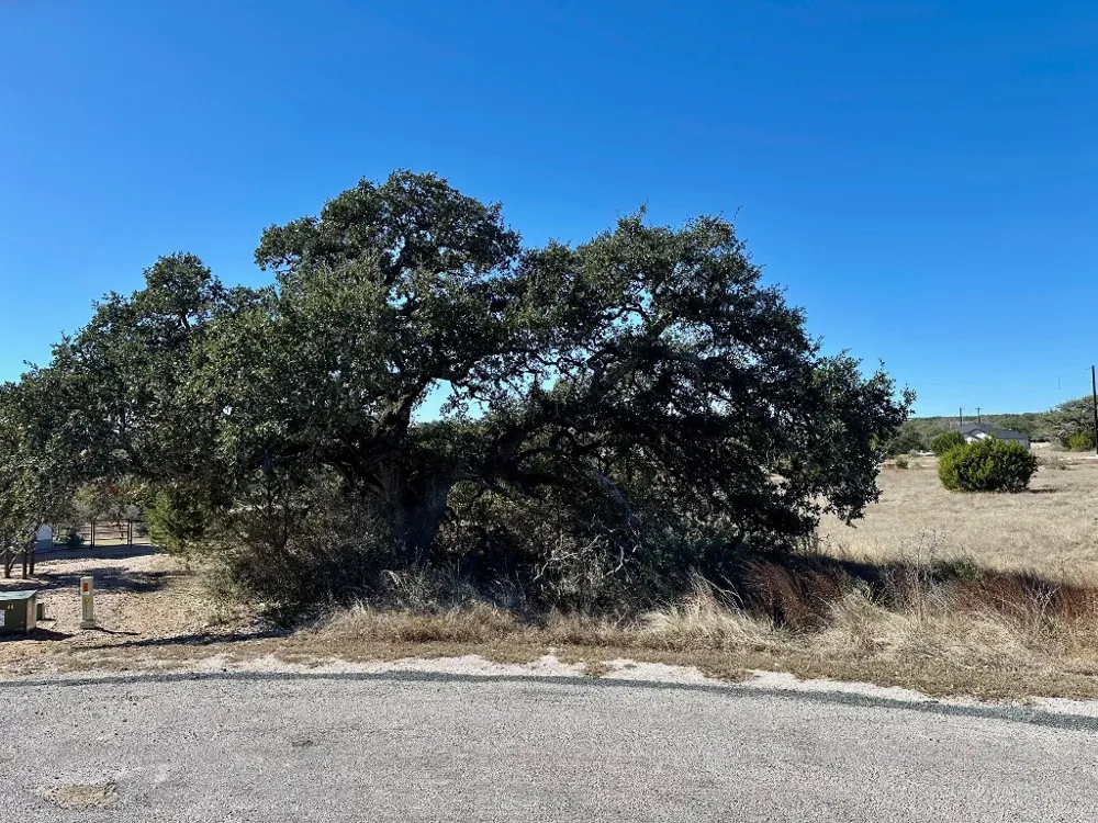 110 Alf Hunter Blanco, TX 78606
