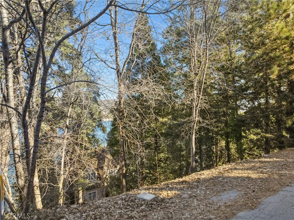28774 Palisades Lake Arrowhead, CA 92352