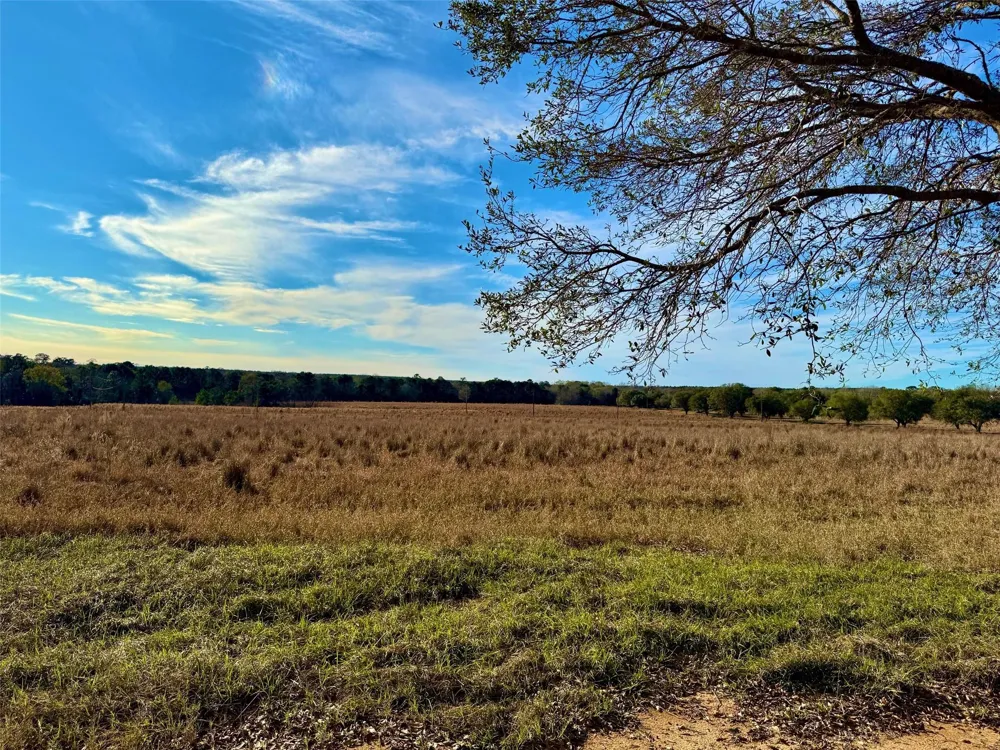 103 Lakeland Drive Hillister, TX 77624