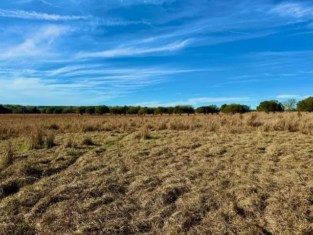 103 Lakeland Drive Hillister, TX 77624