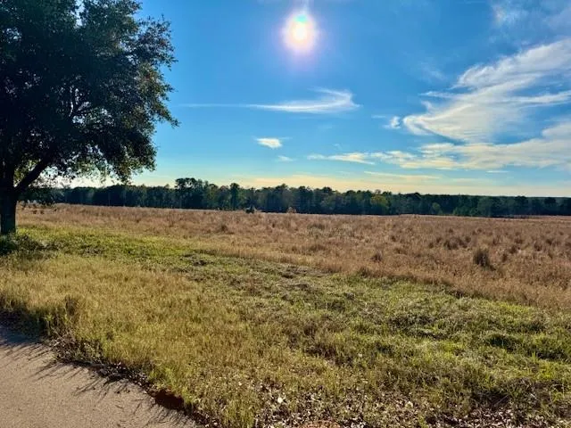 103 Lakeland Drive Hillister, TX 77624