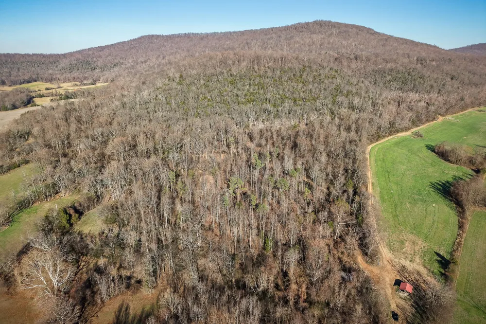 505 Thaxton Rd McMinnville, TN 37110
