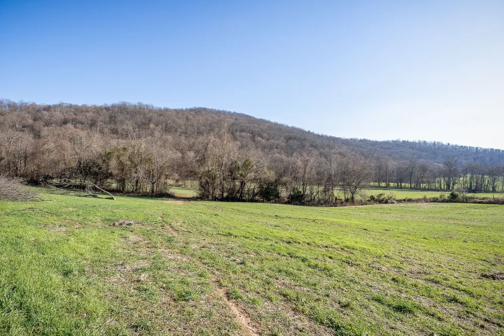 505 Thaxton Rd McMinnville, TN 37110