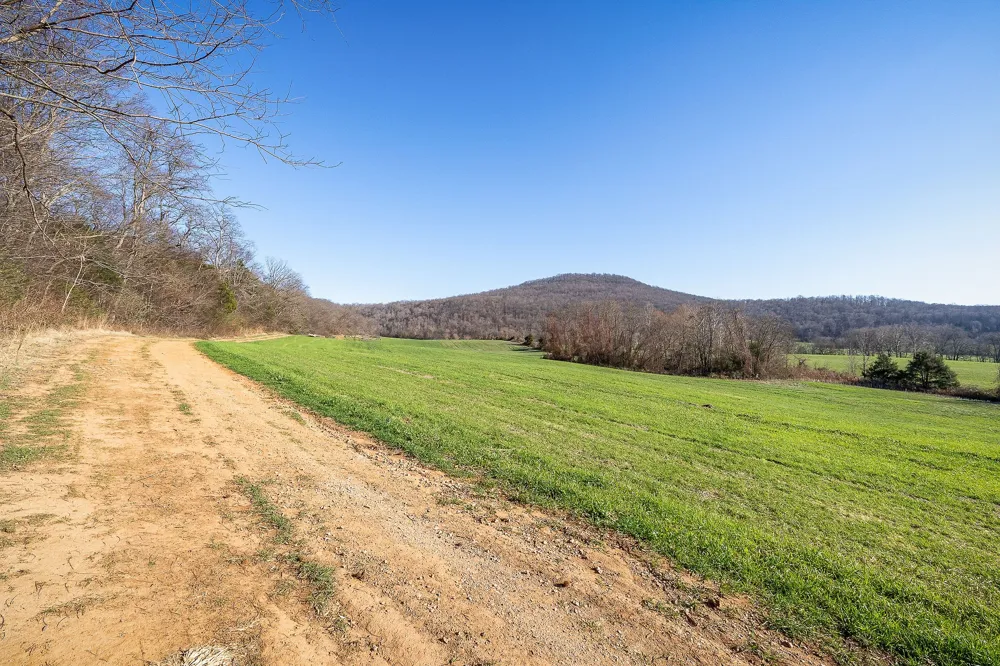 505 Thaxton Rd McMinnville, TN 37110