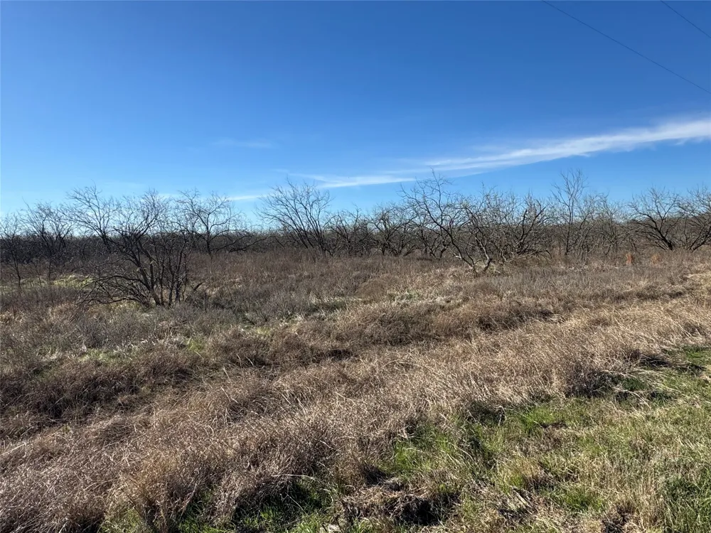 2 Boren Private Road Wortham, TX 76693