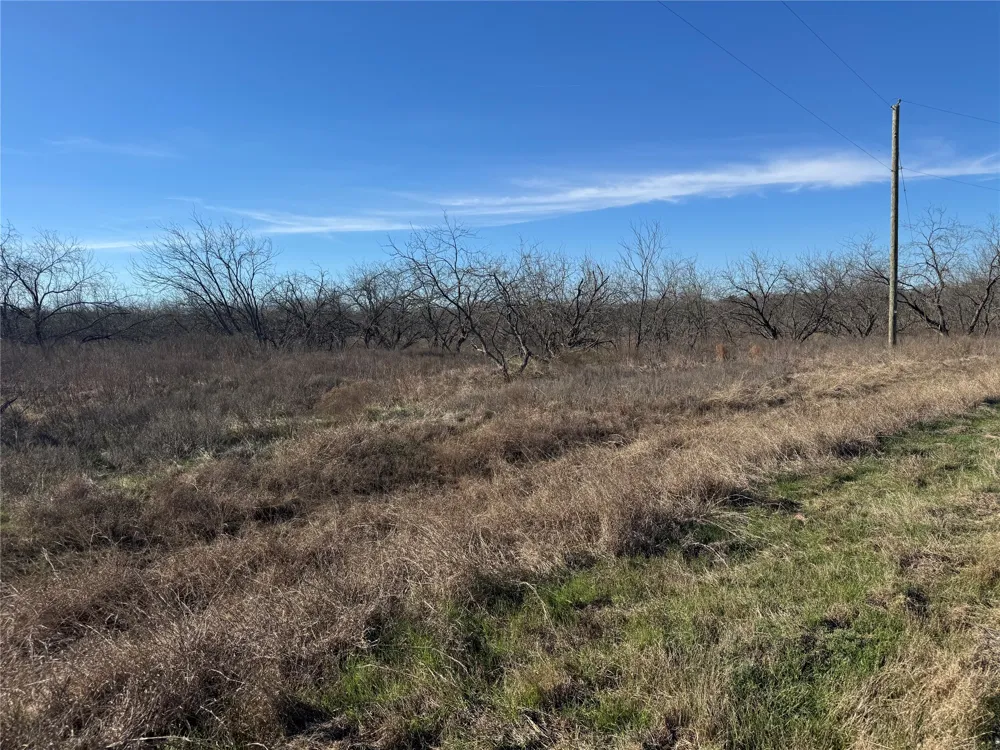 2 Boren Private Road Wortham, TX 76693