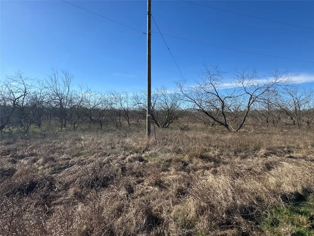 2 Boren Private Road Wortham, TX 76693