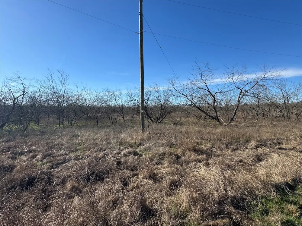 2 Boren Private Road Wortham, TX 76693