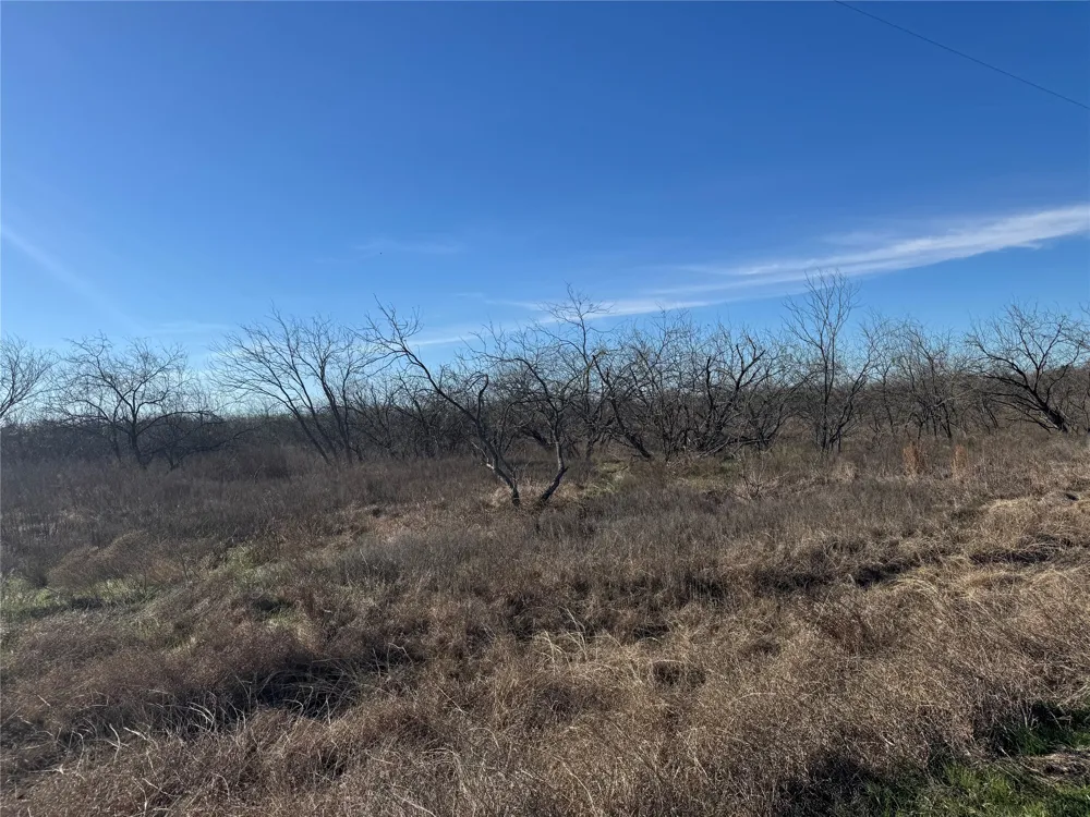 2 Boren Private Road Wortham, TX 76693
