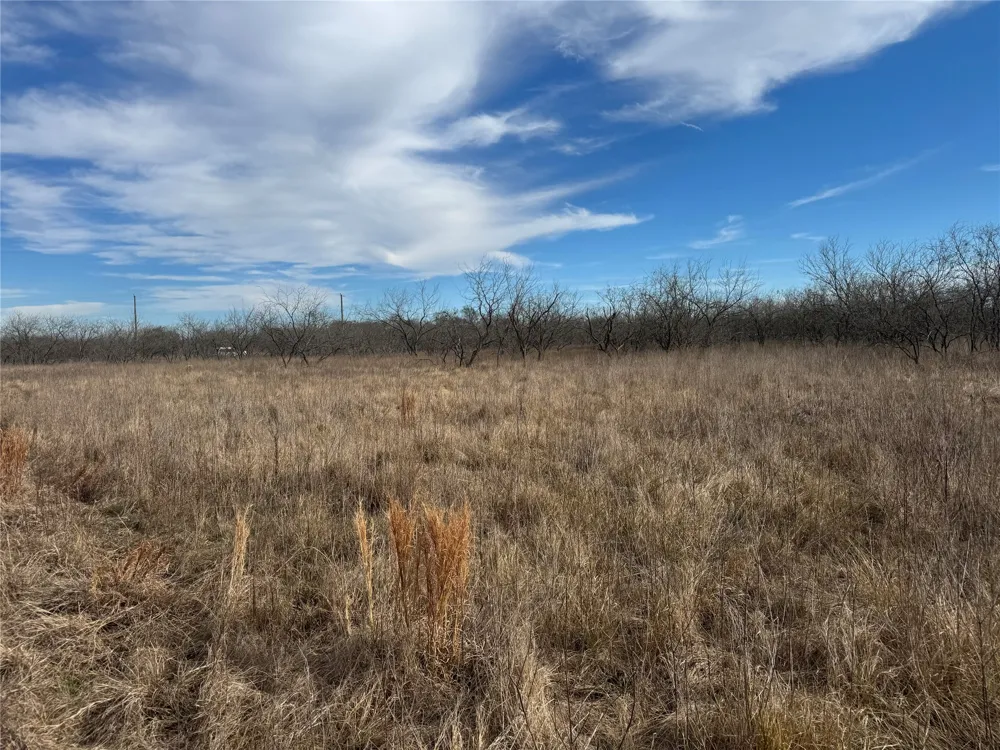 2 Boren Private Road Wortham, TX 76693
