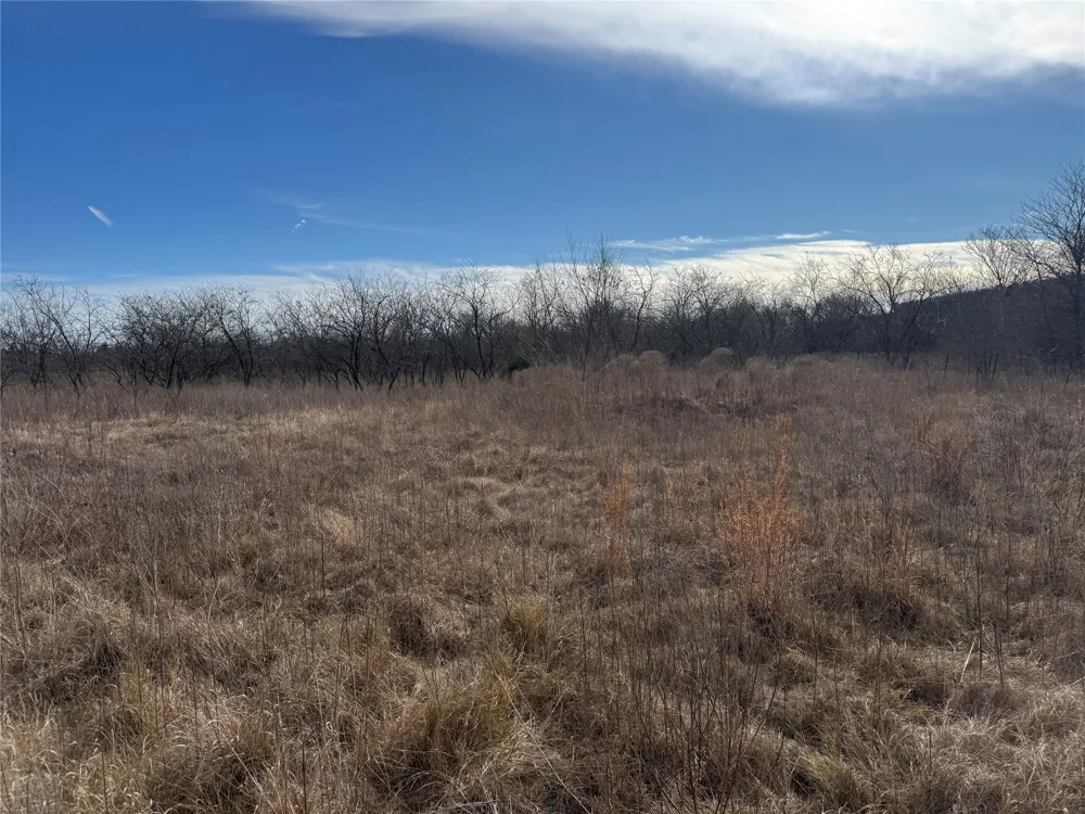 2 Boren Private Road Wortham, TX 76693