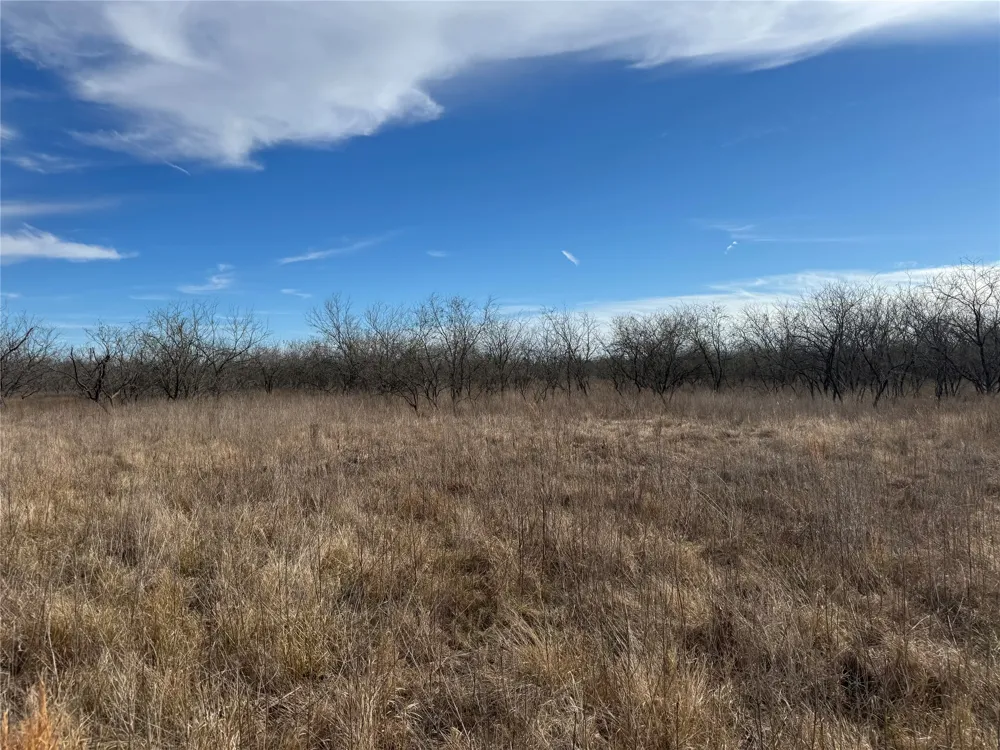 2 Boren Private Road Wortham, TX 76693