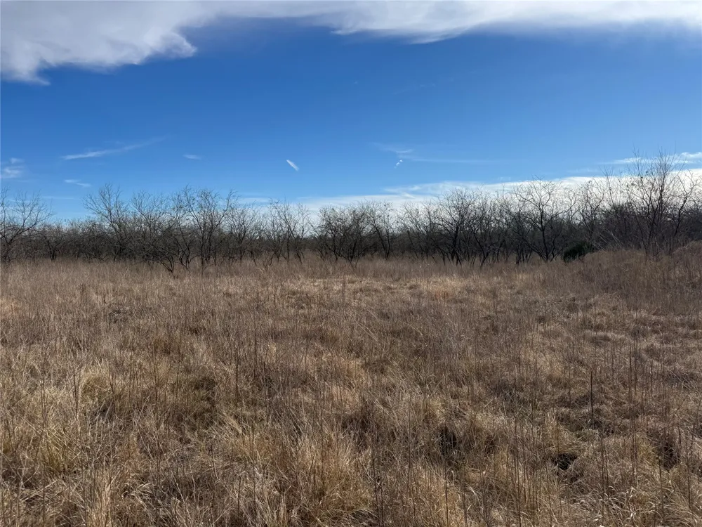2 Boren Private Road Wortham, TX 76693