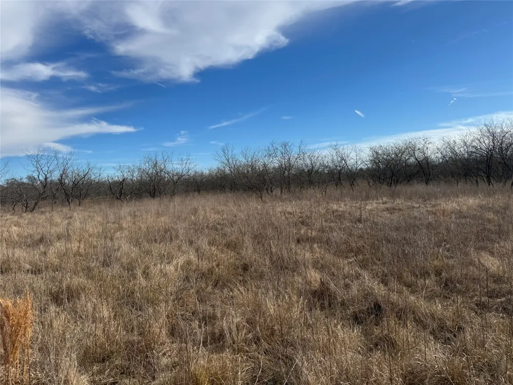 2 Boren Private Road Wortham, TX 76693