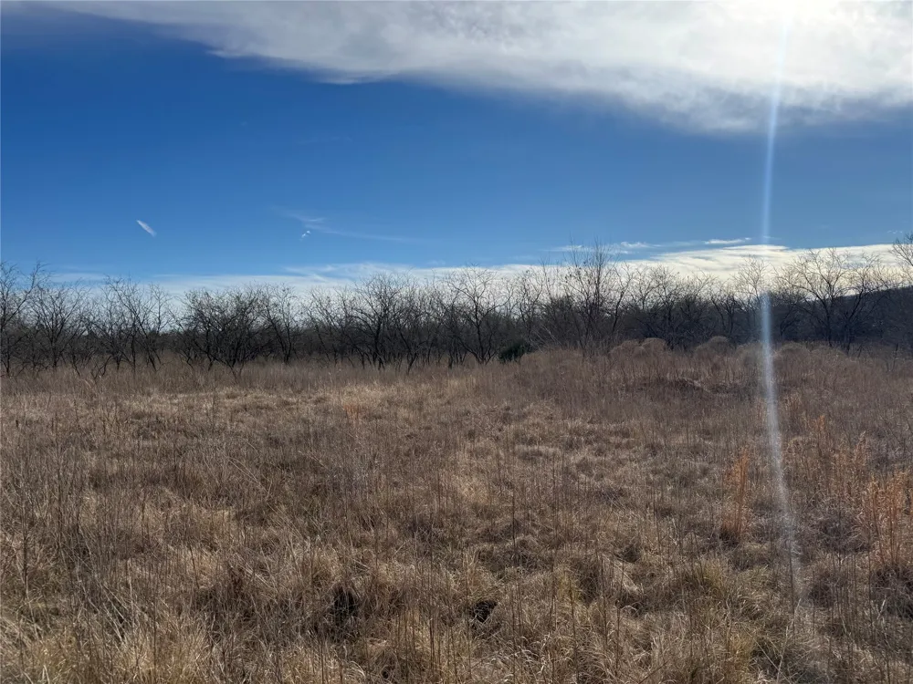 2 Boren Private Road Wortham, TX 76693
