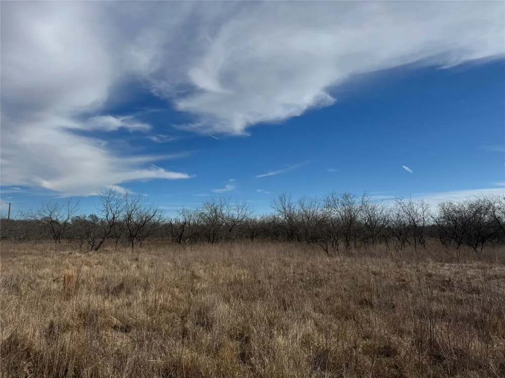 2 Boren Private Road Wortham, TX 76693