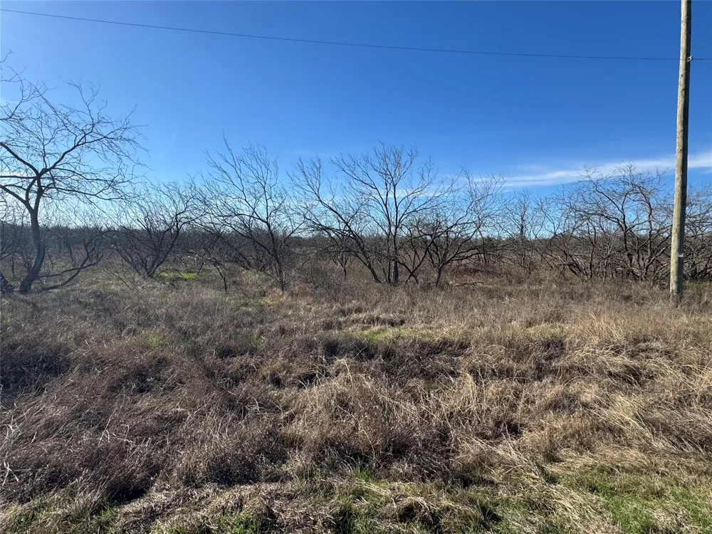 2 Boren Private Road Wortham, TX 76693