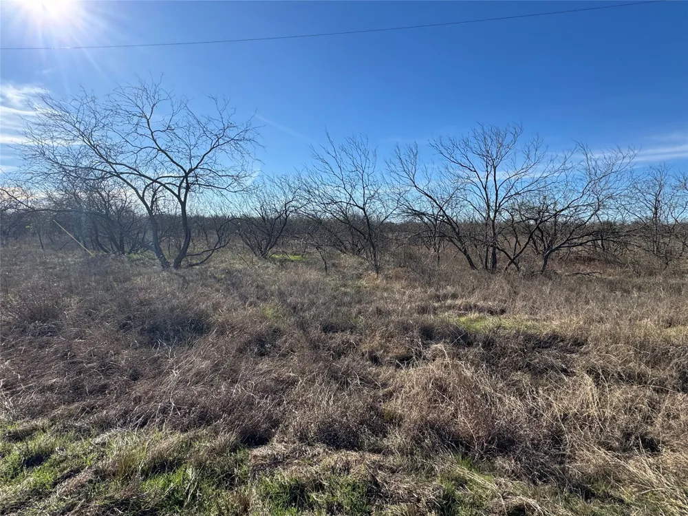 2 Boren Private Road Wortham, TX 76693