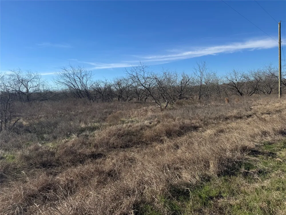 2 Boren Private Road Wortham, TX 76693