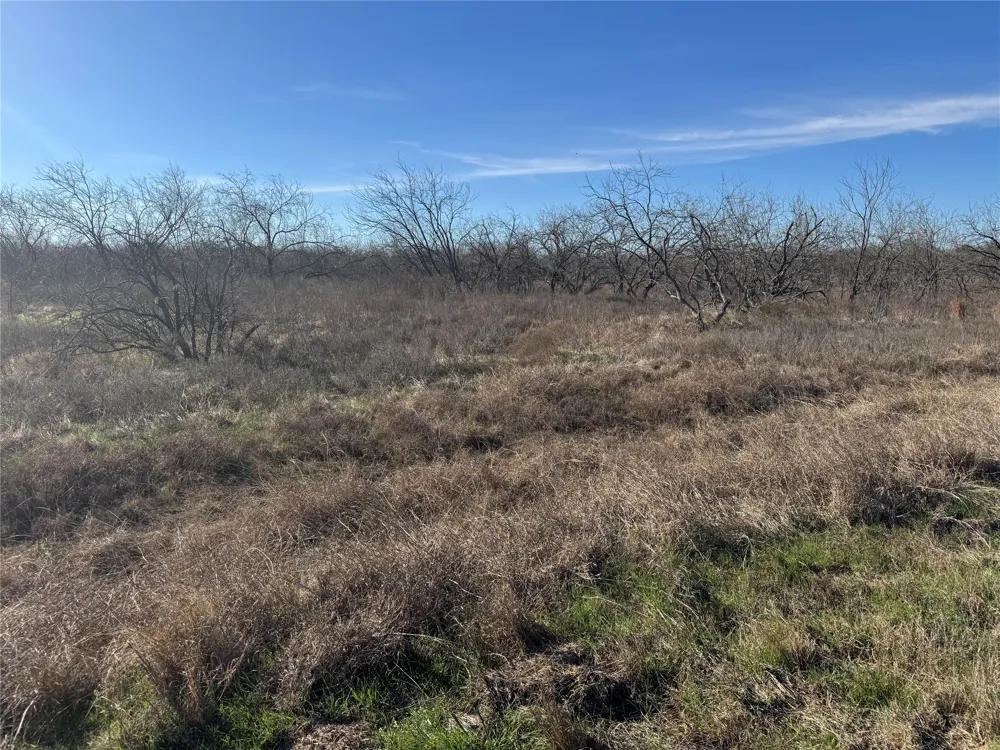 2 Boren Private Road Wortham, TX 76693
