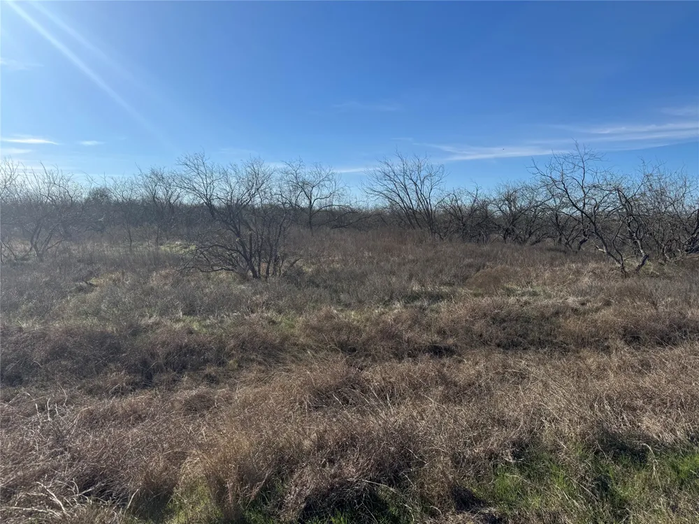 2 Boren Private Road Wortham, TX 76693