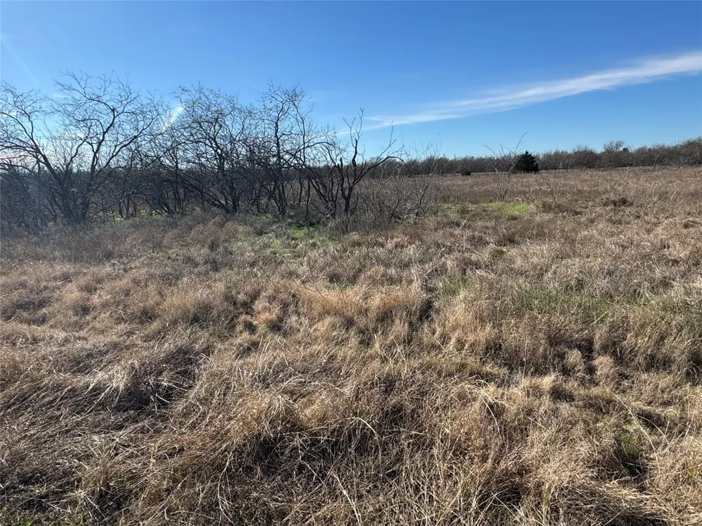 2 Boren Private Road Wortham, TX 76693