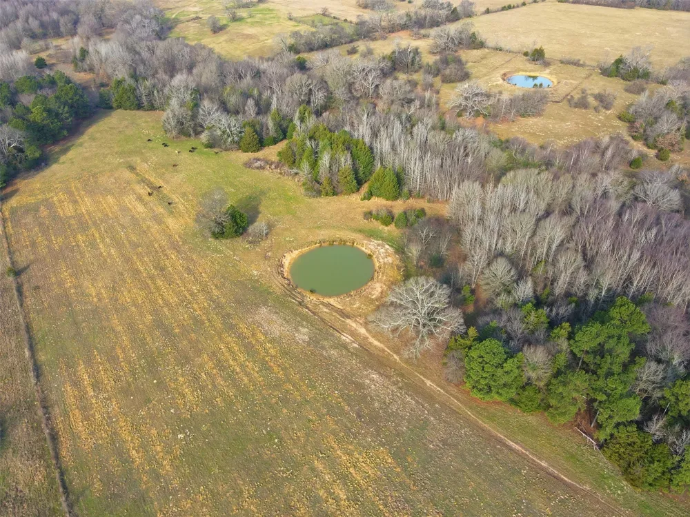 775 County Road 4919 Quitman, TX 75783