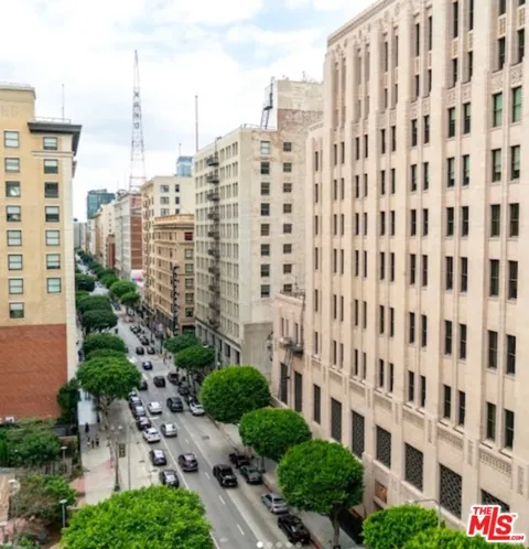 416 S Spring Street #905
