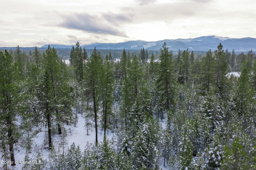 150 Atlanta Way Spirit Lake, ID 83869