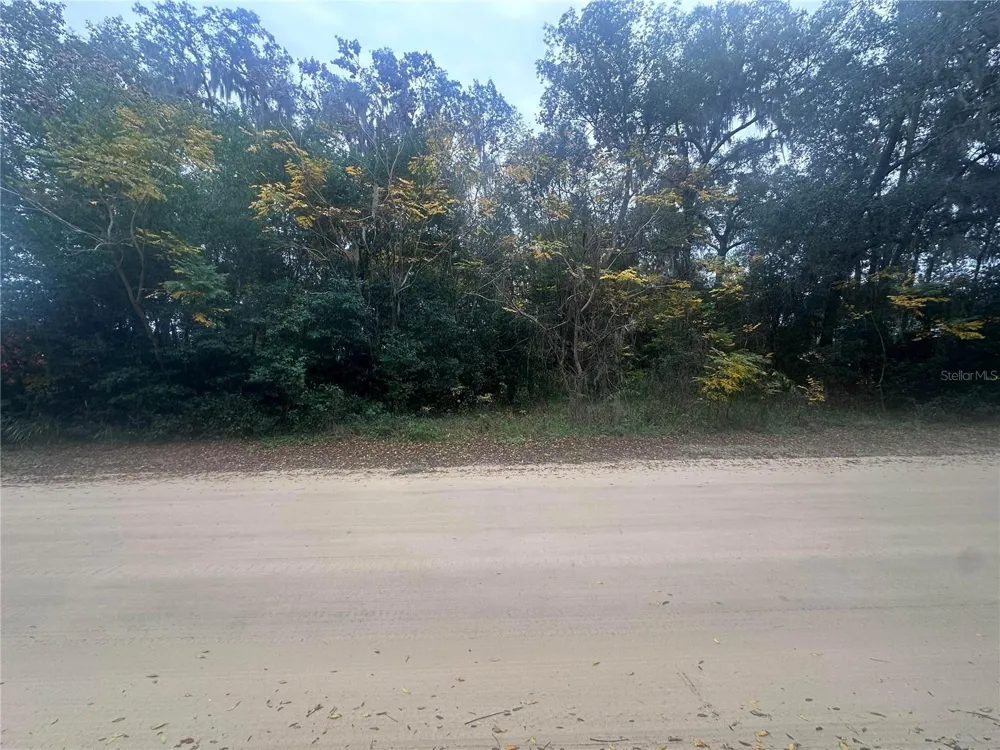 SR-19 Altoona, FL 32702
